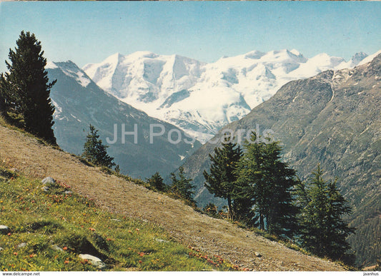 Hohenweg ob Pontresina - Blick auf Piz Palu und Bellavista - 1971 - Switzerland - used - JH Postcards