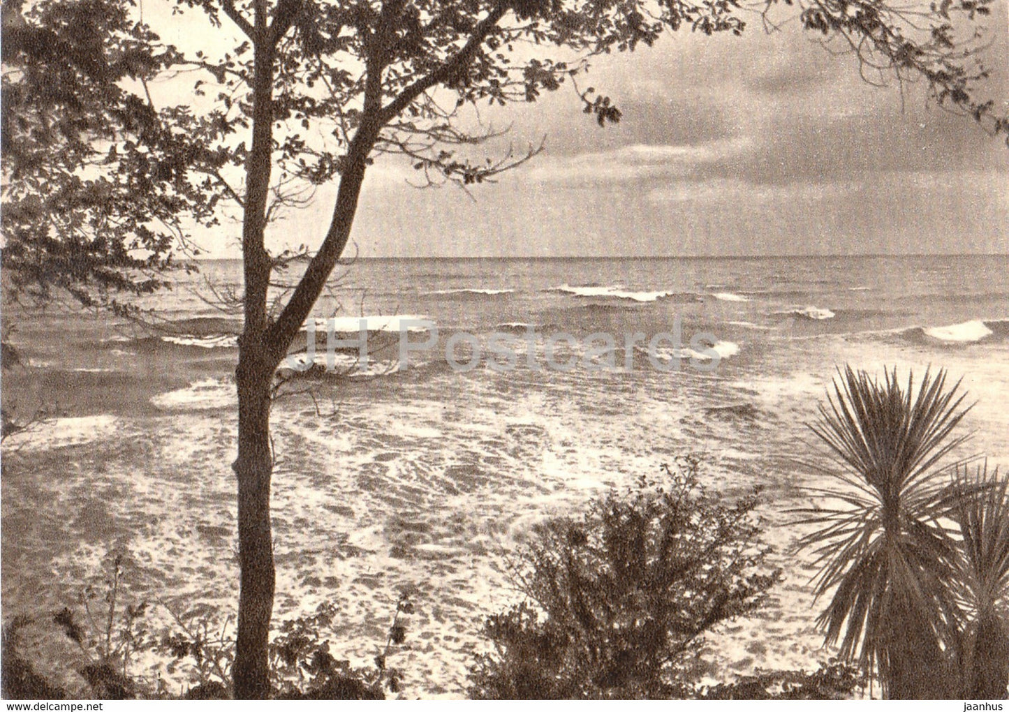 Sochi - view at the sea - 1958 - Russia USSR - unused - JH Postcards