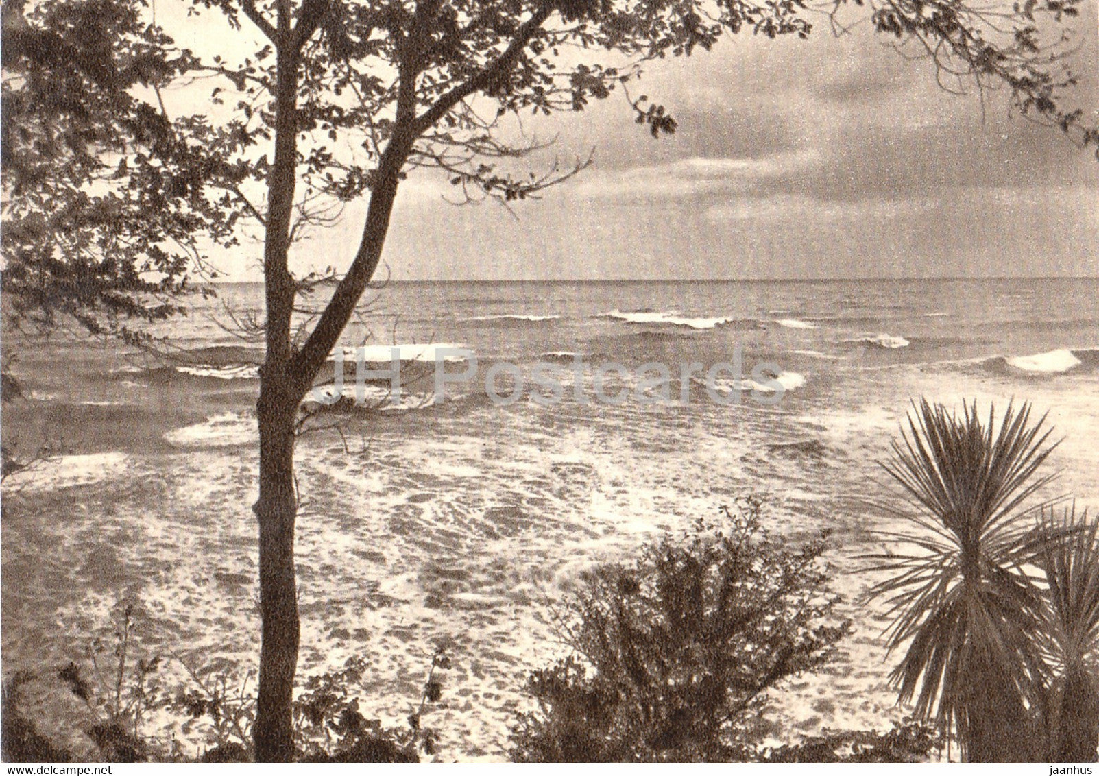 Sochi - view at the sea - 1958 - Russia USSR - unused - JH Postcards