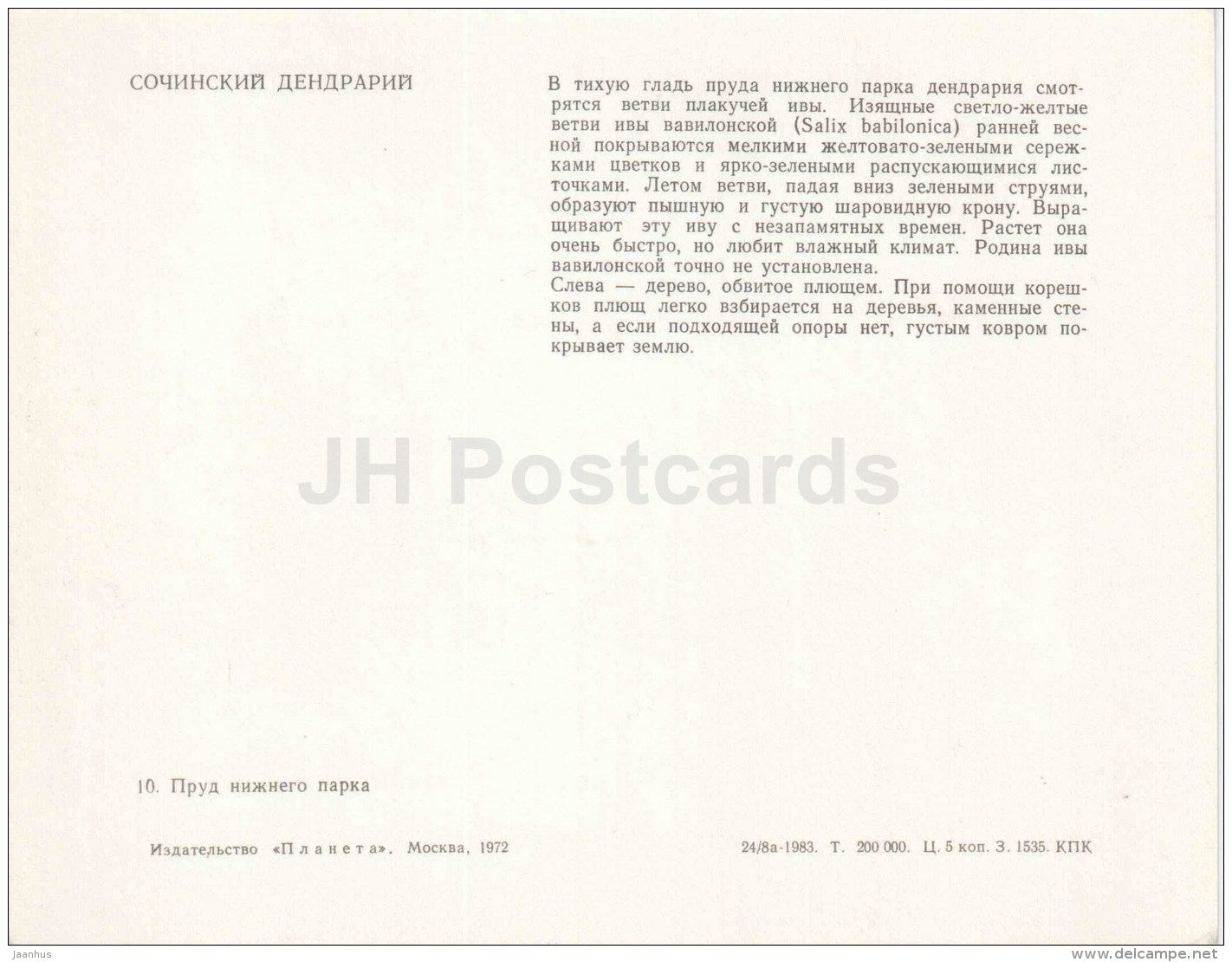 pavilion - Sochi Dendrarium - 1972 - Russia USSR - unused - JH Postcards