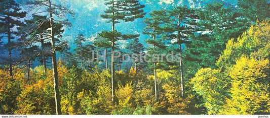 Crimean Preserve - Crimea - 1979 - Ukraine USSR - unused - JH Postcards