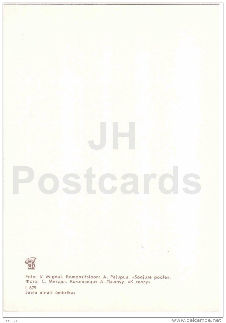 composition Towards the Warm - cranberry - candle - ikebana - 1979 - Estonia USSR - unused - JH Postcards