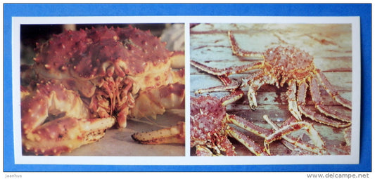 Red king crab - Paralithodes camtschaticus - Japanese sea - 1977 - Russia USSR - unused - JH Postcards