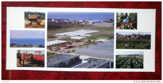 Kirov collective farm - farms - harvester - greenhouses - 1986 - Estonia - USSR - unused - JH Postcards