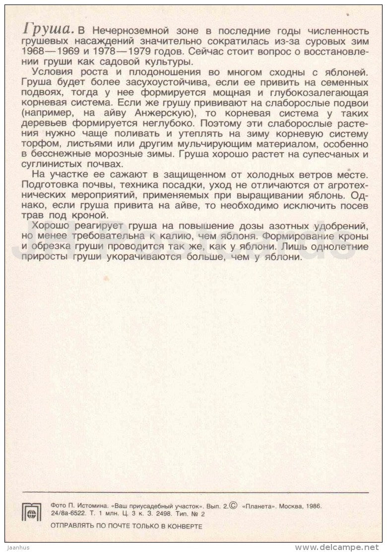 peach - 1 - fruit and berry crops - garden - 1986 - Russia USSR - unused - JH Postcards