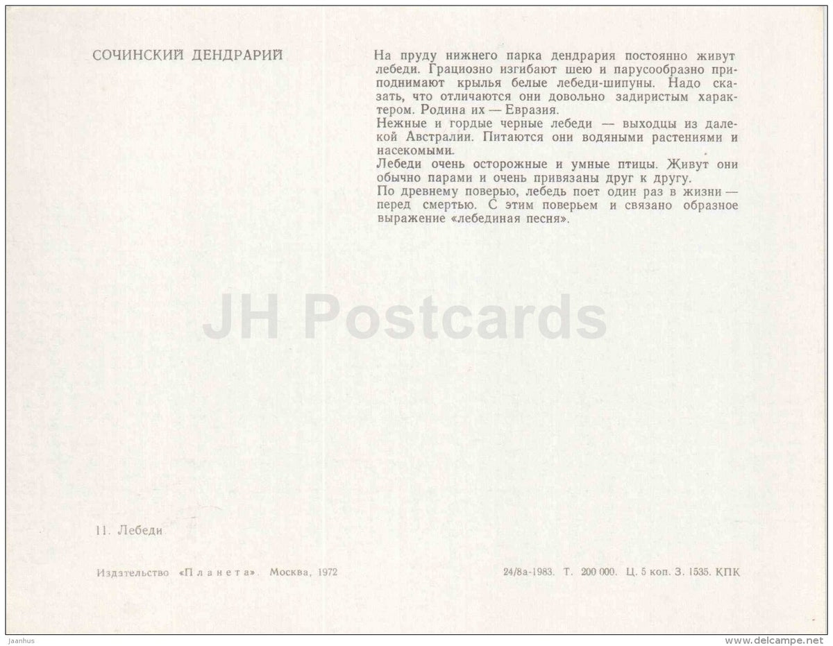 pond - Black Swan - Sochi Dendrarium - 1972 - Russia USSR - unused - JH Postcards