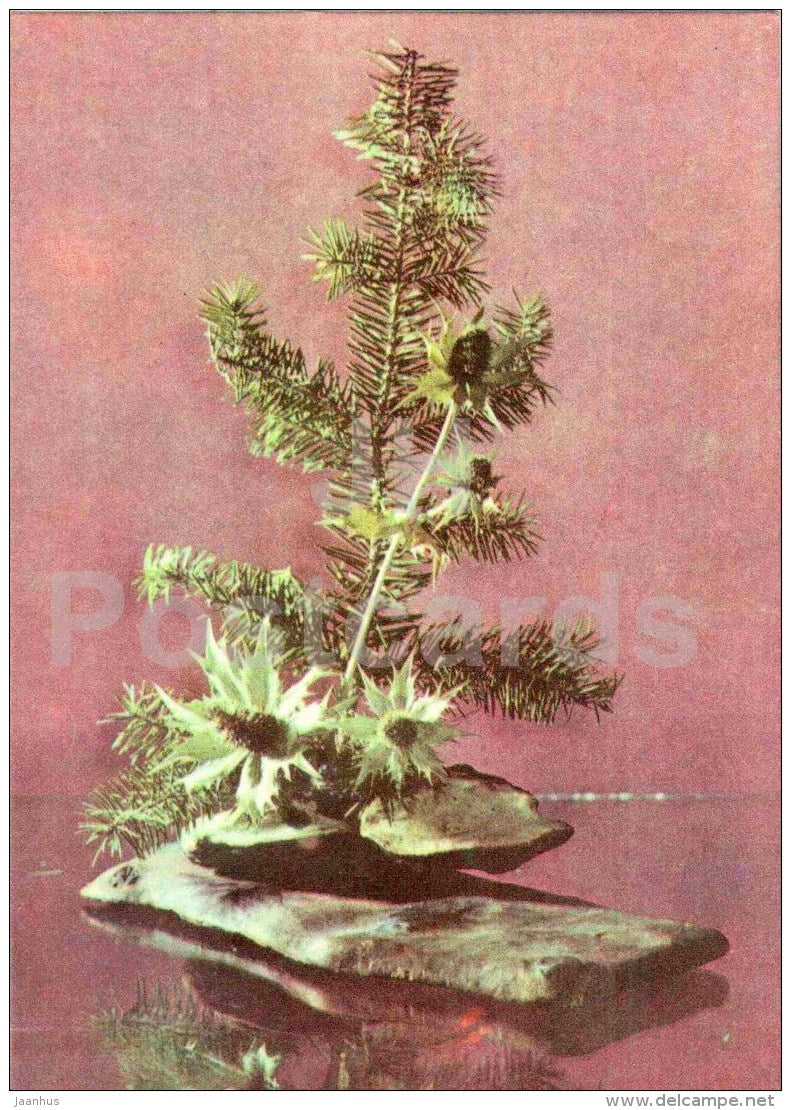 composition Uninhabited island - branches - ikebana - 1979 - Estonia USSR - unused - JH Postcards