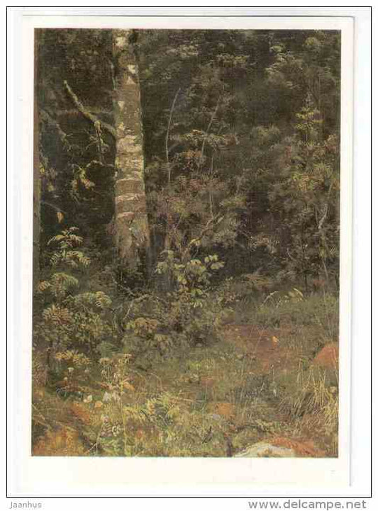 painting by I. I. Shishkin - Birch and Pock , etude , 1878 - russian art - unused - JH Postcards