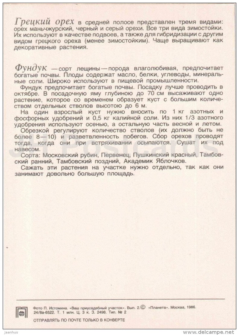 hazelnut - walnut - fruit and berry crops - garden - 1986 - Russia USSR - unused - JH Postcards