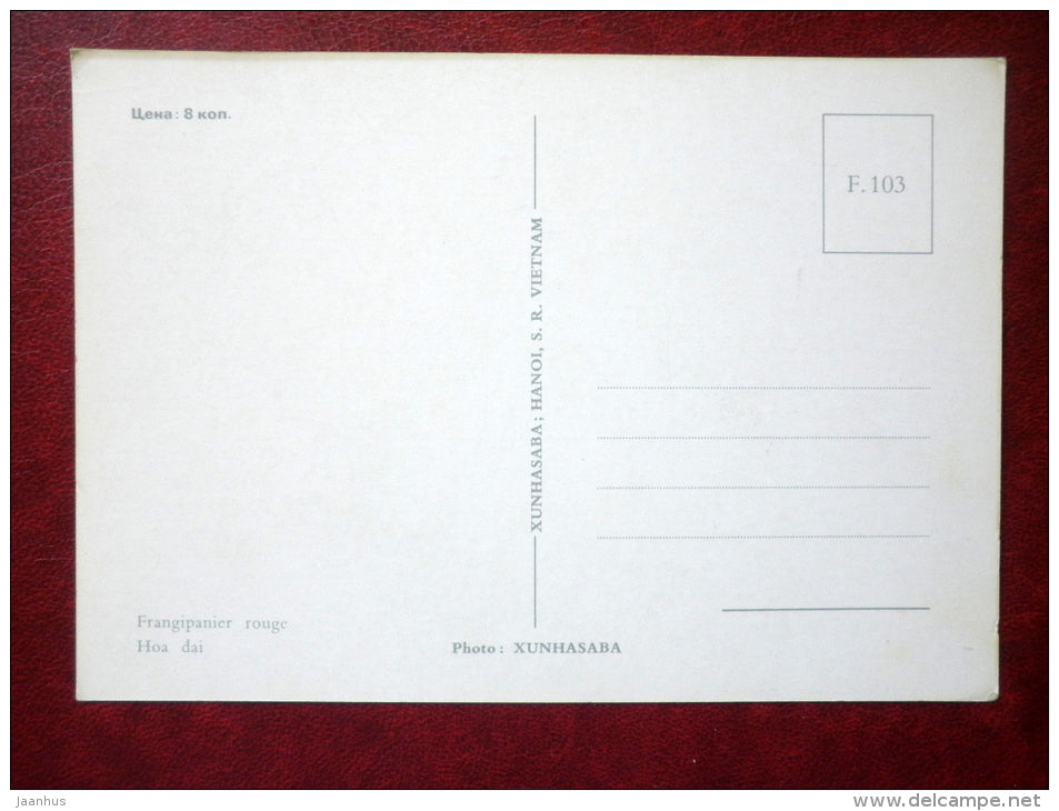 red frangipani - Plumeria rubra - flowers - Vietnam - unused - JH Postcards