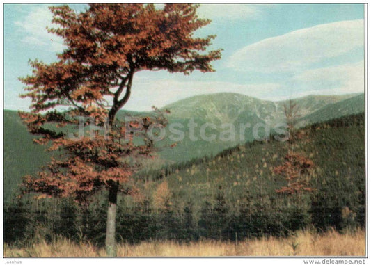 Krkonose - Kotel mountain - Czechoslovakia - Czech - unused - JH Postcards