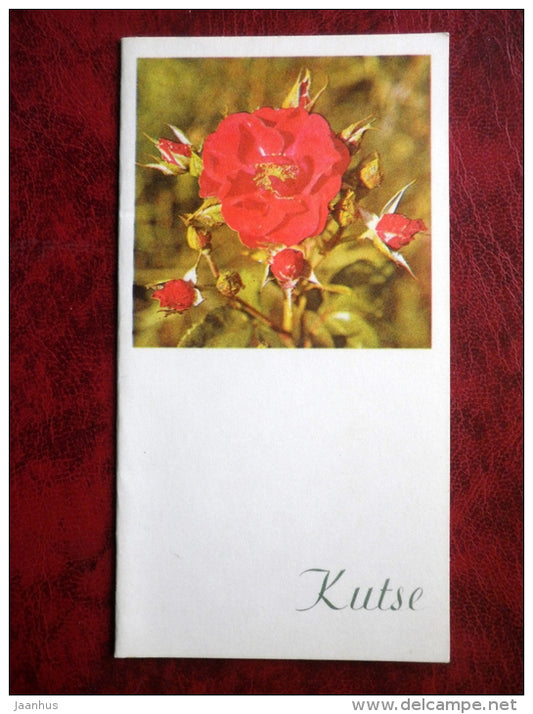 Invitation card - flowers - 1981 - Estonia - USSR - unused - JH Postcards
