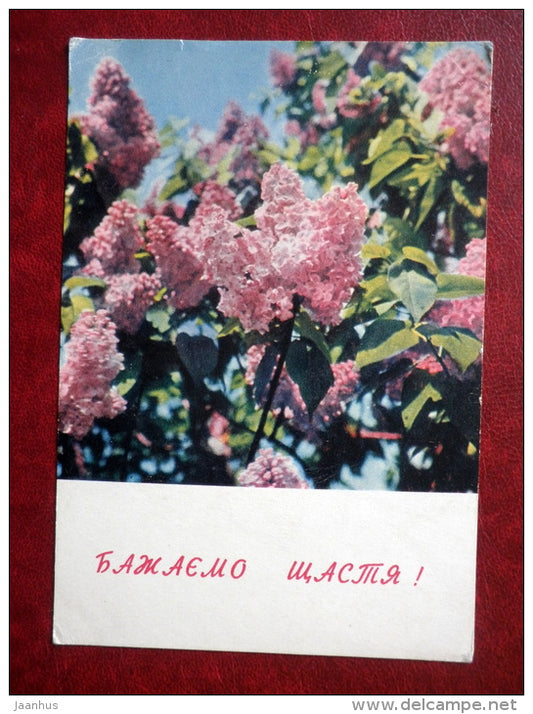 Greeting Card - lilac - flowers - 1969 - Ukraine USSR - unused - JH Postcards