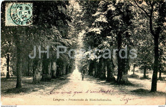 Langres - Promenade de Blanchefontaine - old postcard - 1904 - France - used - JH Postcards