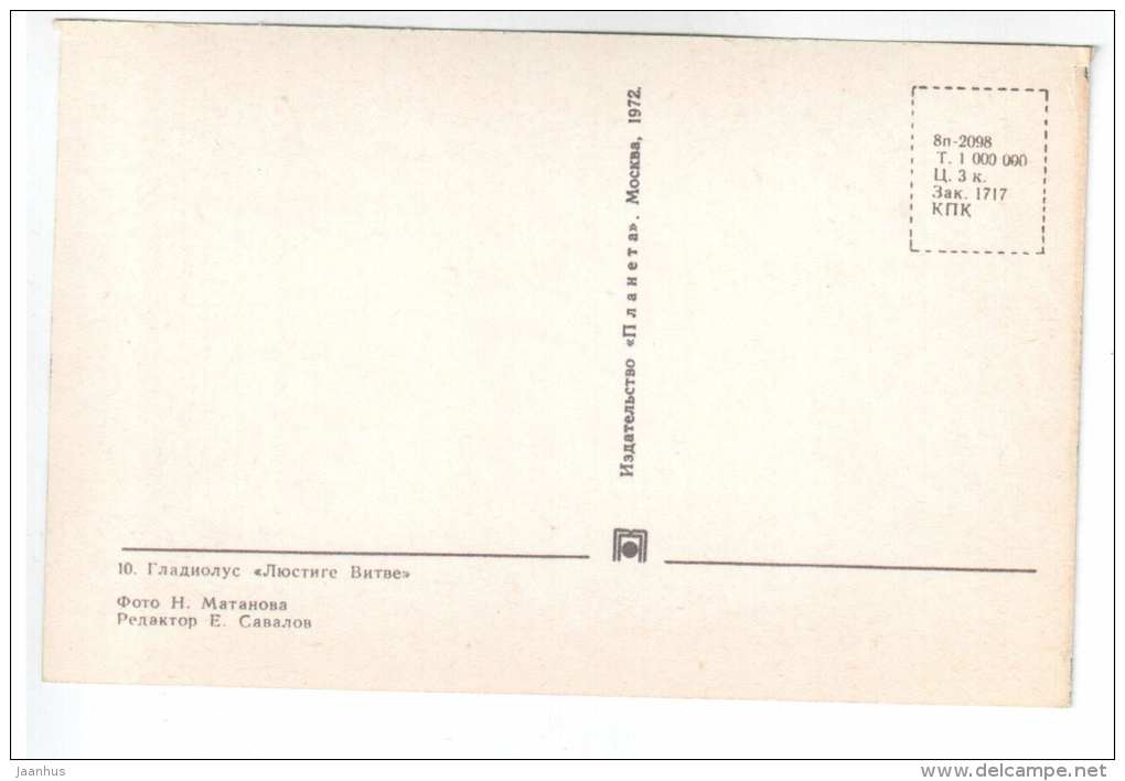 Lustige Witwe - gladiolus - flowers - 1972 - Russia USSR - unused - JH Postcards