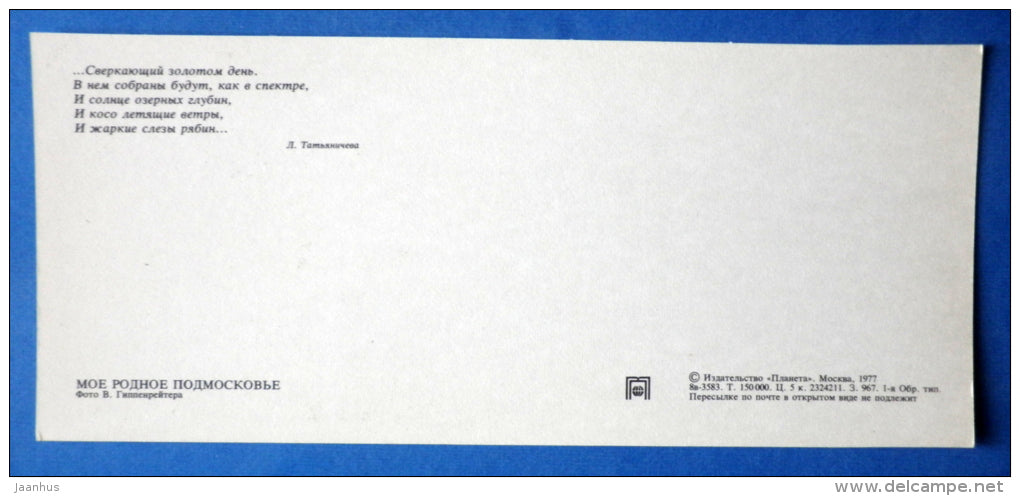 rowan - autumn - berry - Moscow Oblast - Podmoskovye - 1977 - Russia USSR - unused - JH Postcards