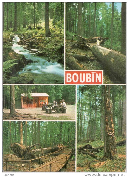 Boubin and Boubin Forest near Prachatice - Czechoslovakia - Czech - unused - JH Postcards
