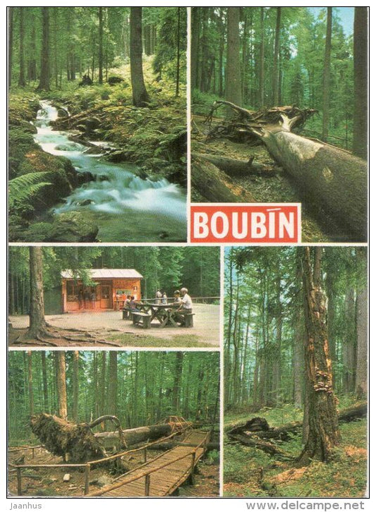 Boubin and Boubin Forest near Prachatice - Czechoslovakia - Czech - unused - JH Postcards