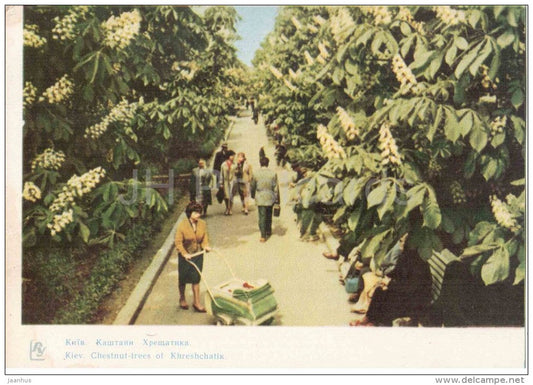 Chestnit Trees of Khreshchatik - bassinet - Kiev - Kyiv - 1963 - Ukraine USSR - unused - JH Postcards