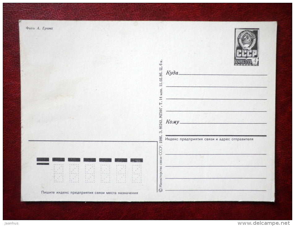 8 March Greeting Card - forest - 1986 - Russia USSR - unused - JH Postcards