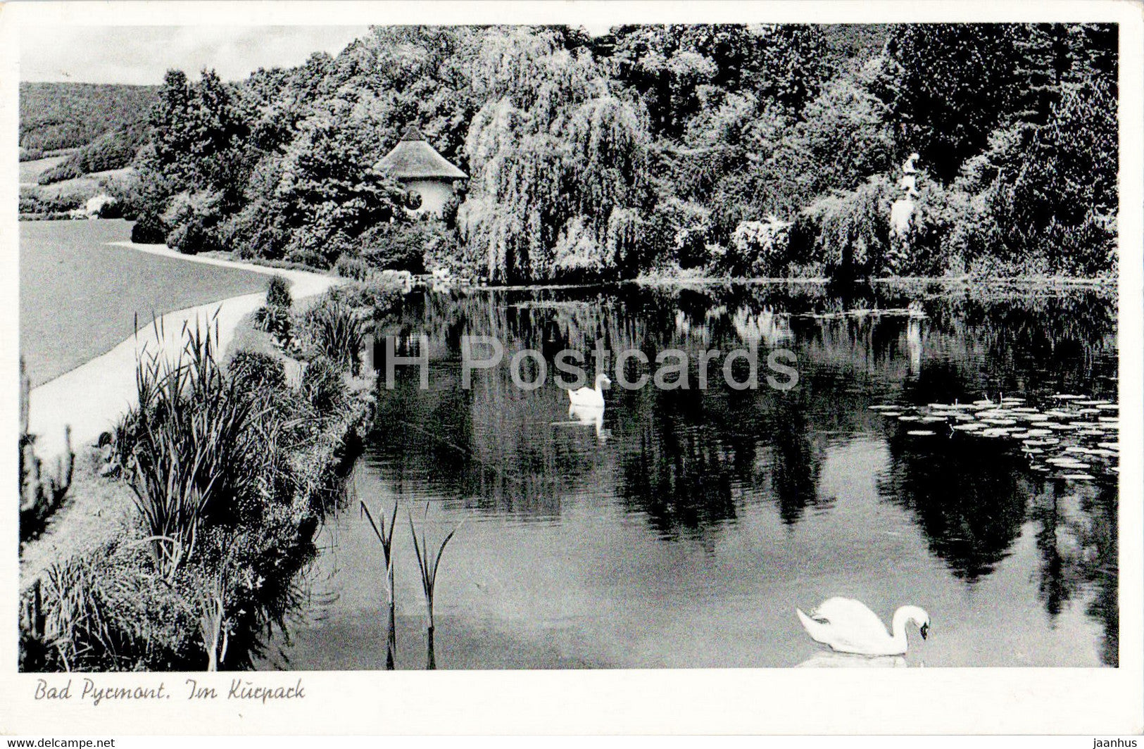 Bad Pyrmont - Im Kurpark - swan - birds - old postcard - 1955 - Germany - used - JH Postcards