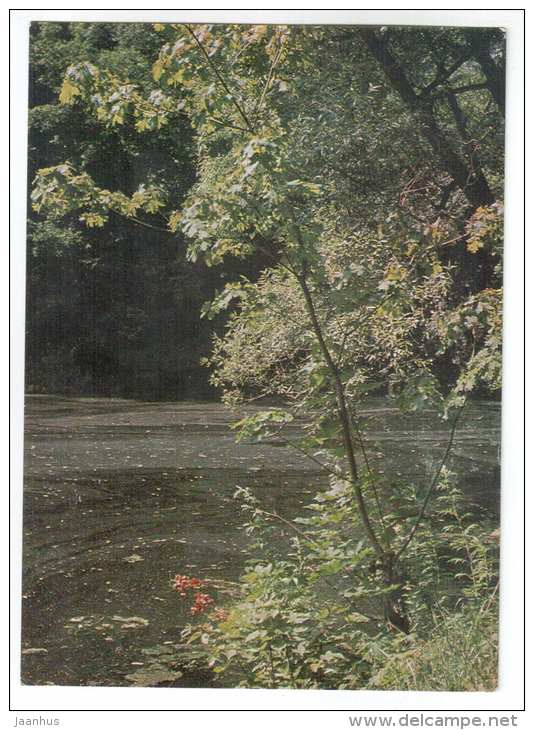 Middle pond in the Park - Leo Tolstoy - Yasnaya Polyana Manor - 1968 - Russia USSR - unused - JH Postcards