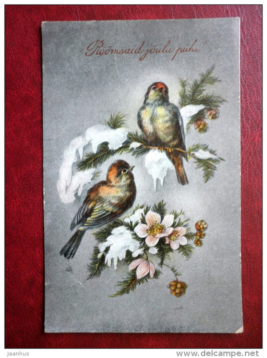 Christmas Greeting Card - birds - 4302 - circulated in Estonia 1925 , Rakvere - Estonia - used - JH Postcards