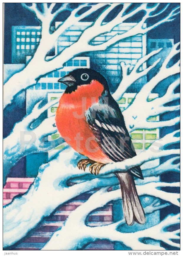 New Year Greeting card by S. Väljal - 1 - bullfinch - birds - 1977 - Estonia USSR - used - JH Postcards