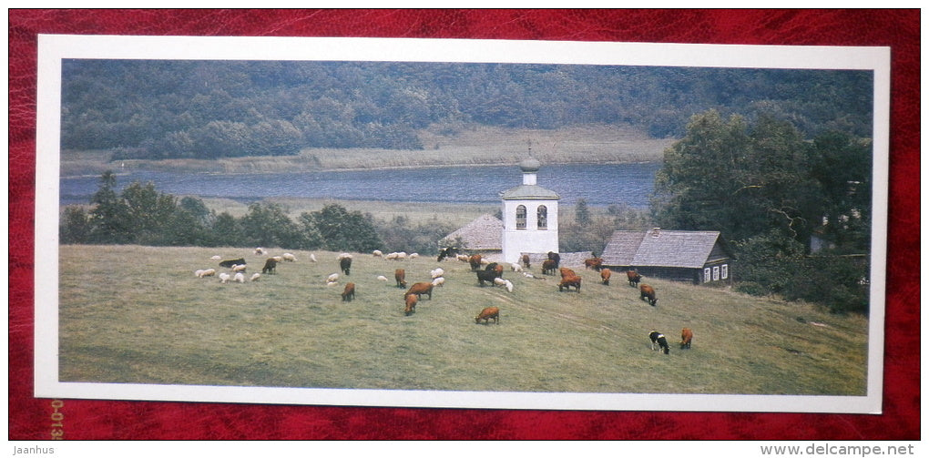 the village of Malyi - cows - sheeps - 1983 - Russia - USSR - unused - JH Postcards