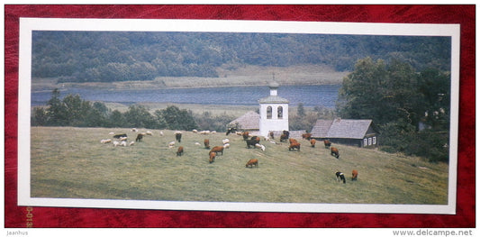 the village of Malyi - cows - sheeps - 1983 - Russia - USSR - unused - JH Postcards