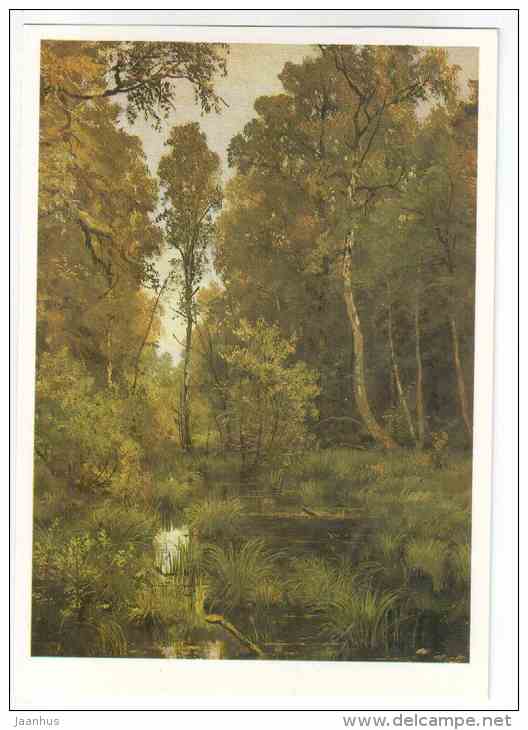 painting by I. I. Shishkin - Overgrown Pond at the edge of the forest , 1883 - russian art - unused - JH Postcards