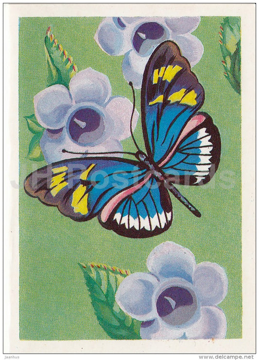 mini birthday greeting card by M. Pobedina - butterfly - flowers - 1989 - Russia USSR - unused - JH Postcards