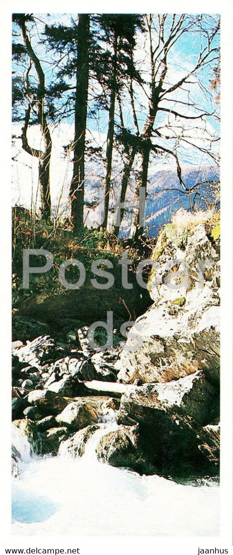 Teberda Nature Reserve - Teberda mountains - 1982 - Russia USSR - unused - JH Postcards