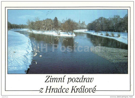 Hradec Kralove - winter view - swan - Czech Republic - unused - JH Postcards