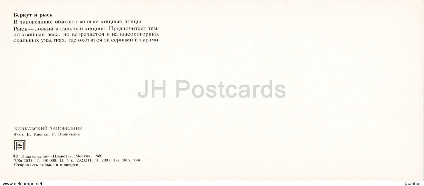 Lynx - eagle - birds - animals - Caucasian Nature Reserve - 1980 - Russia USSR - unused