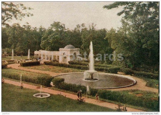 large flower garden - Cup fountain - Petrodvorets - 1956 - Russia USSR - unused - JH Postcards