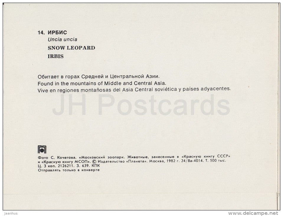 Snow leopard - Panthera uncia - Moscow Zoo - 1982 - Russia USSR - unused - JH Postcards