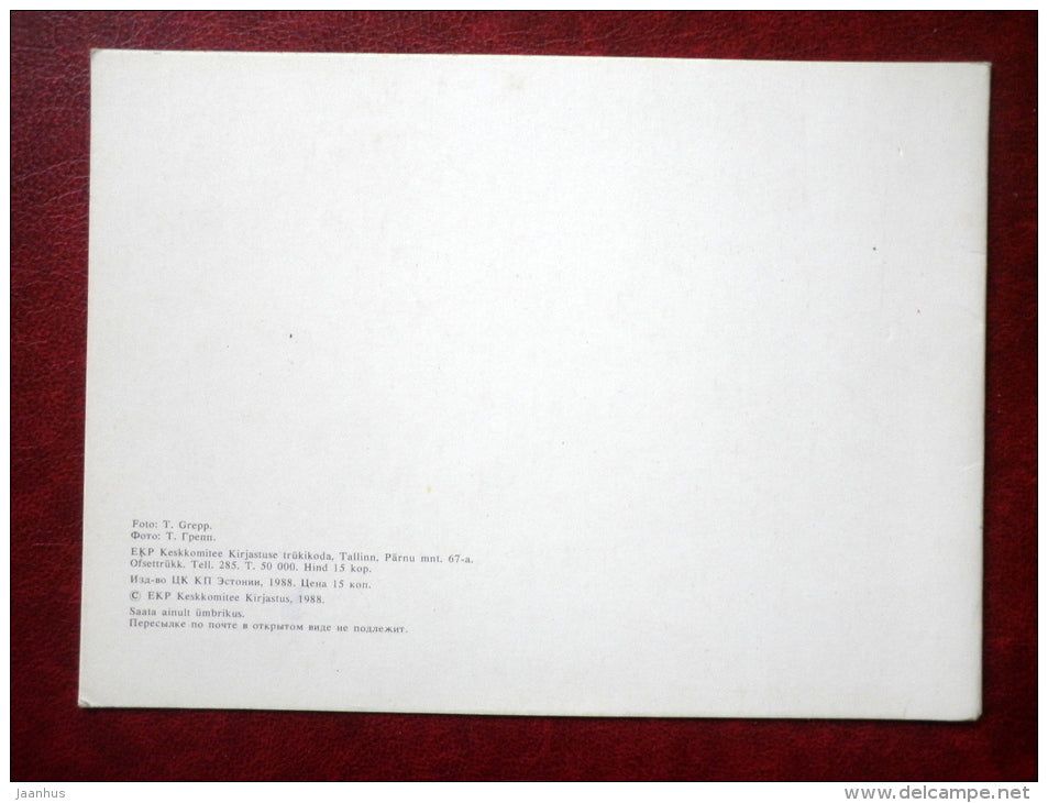 Greeting card - flowers composition - flowers - 1988 - Estonia USSR - unused - JH Postcards