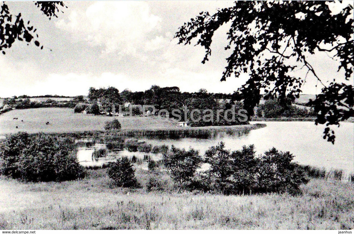 Udsigt over Nyhus So - 96190 - old postcard - 1958 - Denmark - used - JH Postcards