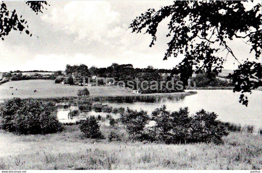Udsigt over Nyhus So - 96190 - old postcard - 1958 - Denmark - used - JH Postcards