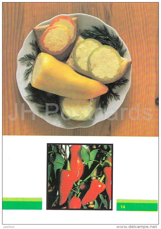 Stuffed Pepper - Vegetable Dishes - recipes - 1990 - Russia USSR - unused - JH Postcards