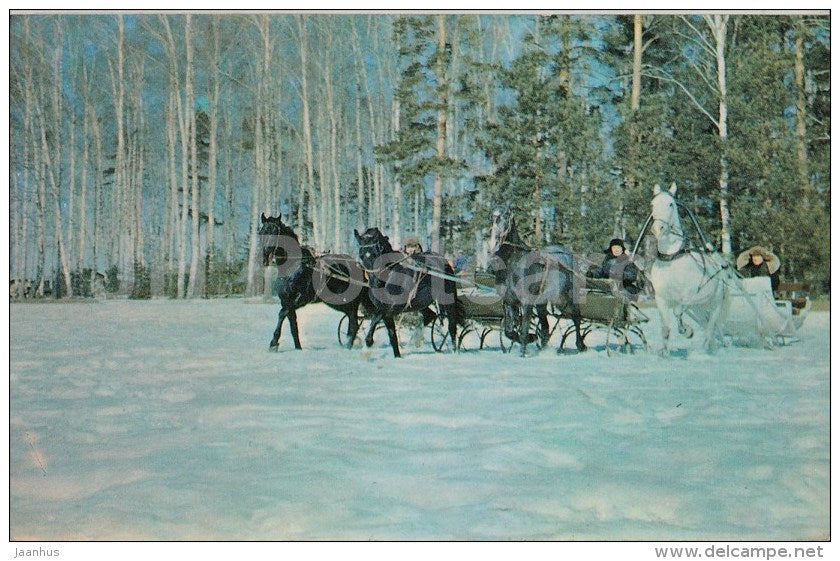 horse sledge - winter - 1970 - Russia USSR - unused - JH Postcards