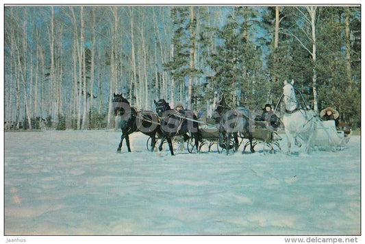 horse sledge - winter - 1970 - Russia USSR - unused - JH Postcards