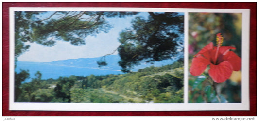view of Yalta and the Cape Ai-Todor - Hibiscus hybrida - Nikitsky Botanical Garden - 1982 - Ukraine USSR - unused - JH Postcards