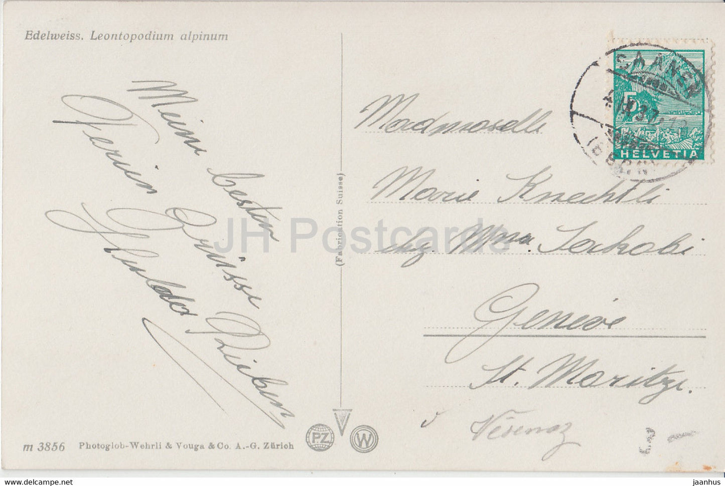 Edelweiss - Leontopodium alpinum - Fleurs - Photochromie 4048 - carte postale ancienne - 1937 - Suisse - utilisé