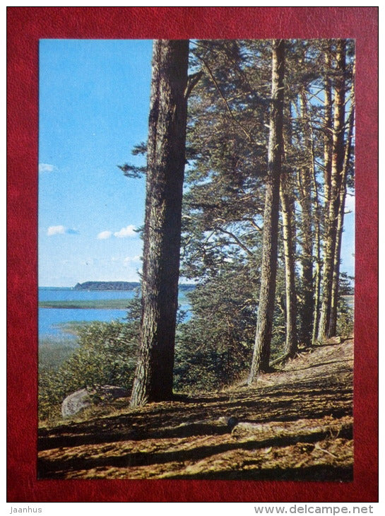 the shore of lake Võrtsjärv - 1984 - Estonia USSR - unused - JH Postcards
