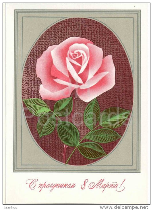 8 March Greeting Card by V. Chmarov - flowers - pink rose - 1978 - Russia USSR - unused - JH Postcards