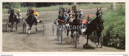 Horse racing - horse breeds - 1988 - Russia USSR - unused - JH Postcards