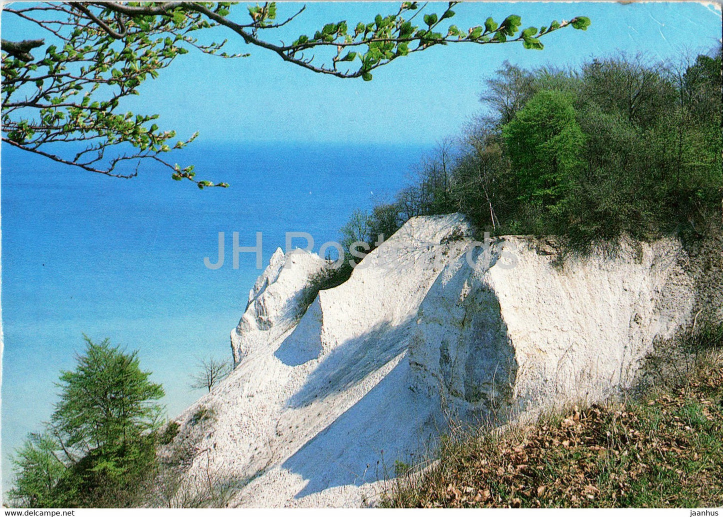 Mons Klint - 3 - Denmark - unused - JH Postcards