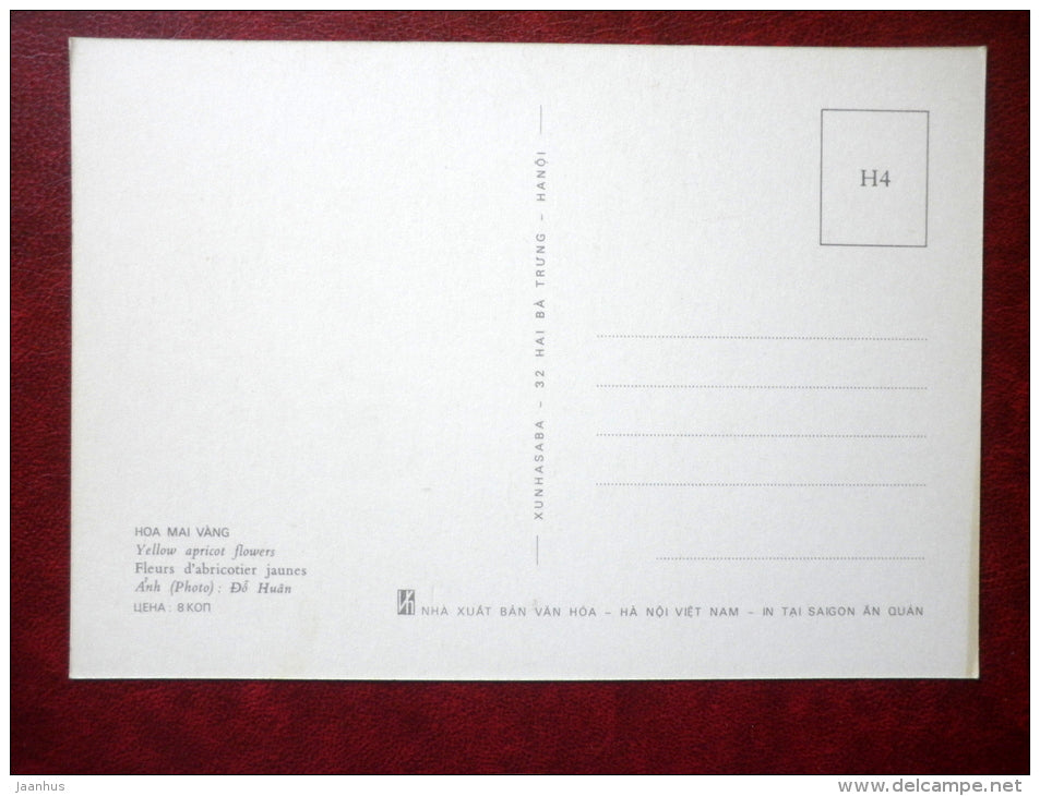 Yellow Apricot flowers - flowers - Vietnam - unused - JH Postcards